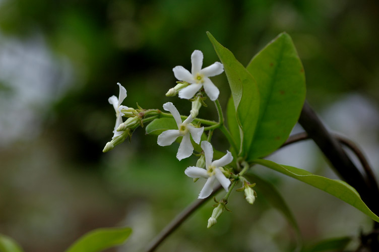DSC_0442小.jpg