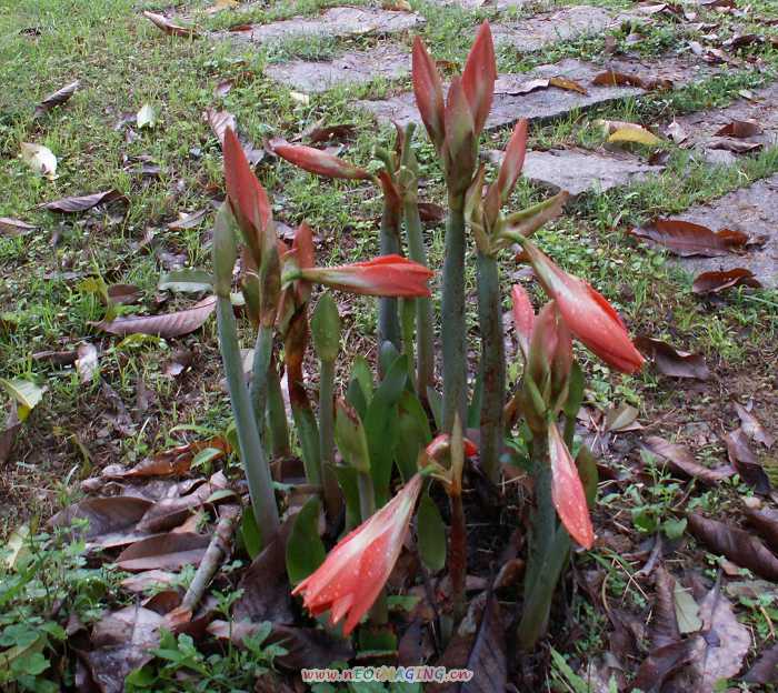 PICT0962.JPG