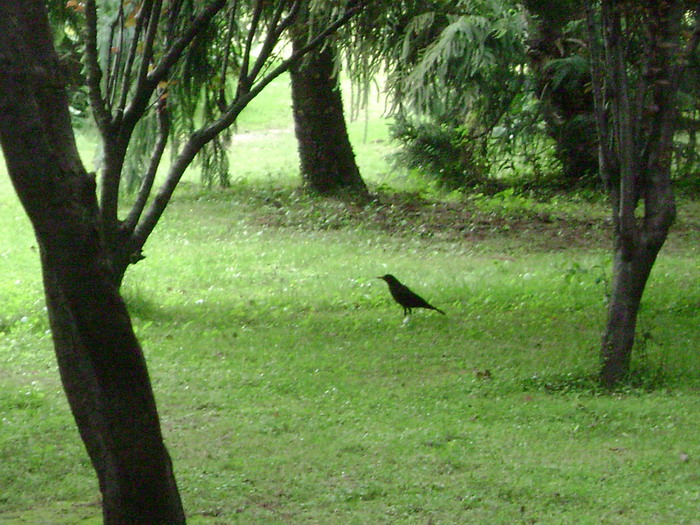DSC01989.jpg