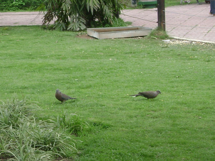 DSC01960.jpg