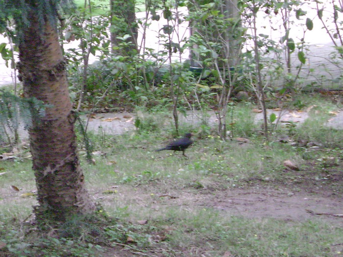 DSC01984.jpg