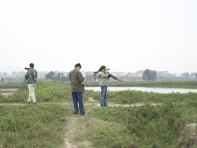 SW
