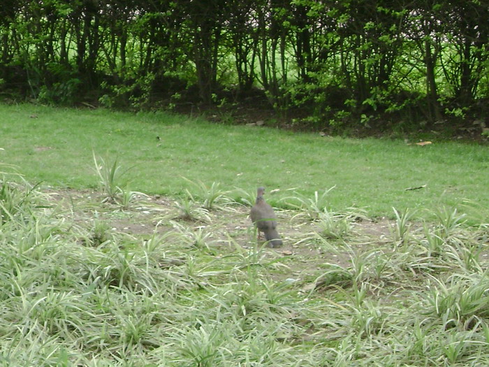 DSC01956.jpg