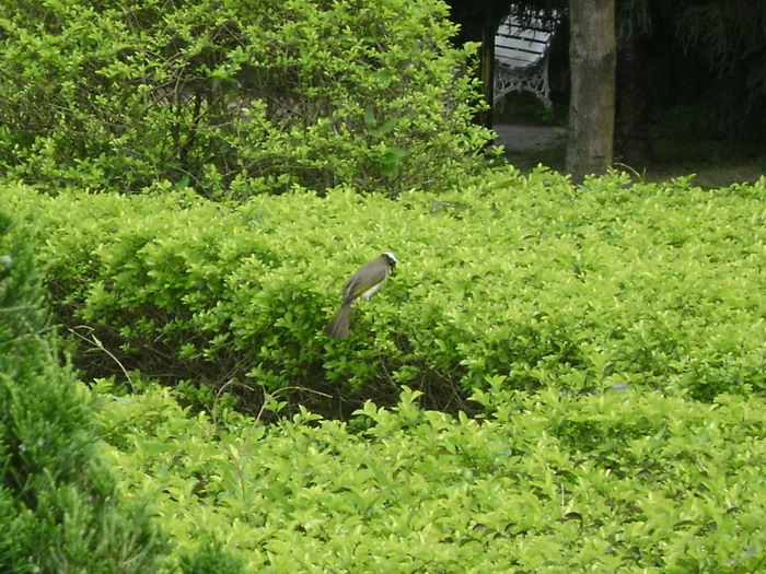 DSC01827.jpg