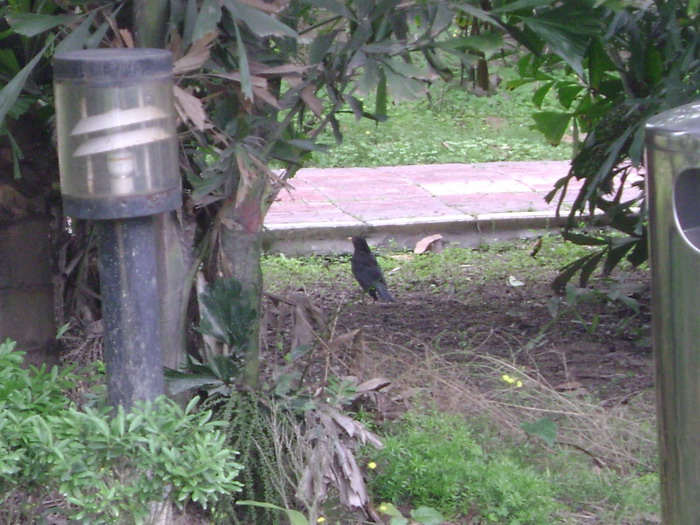 DSC01911.jpg