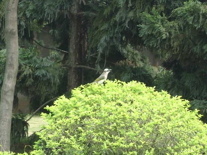 DSC01826.jpg