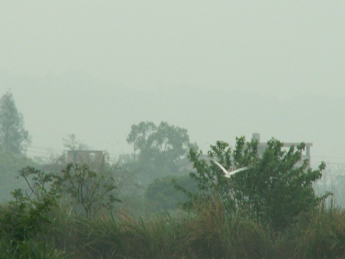 生境2