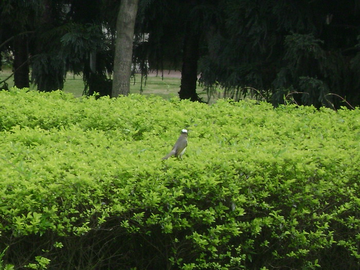 DSC01825.jpg