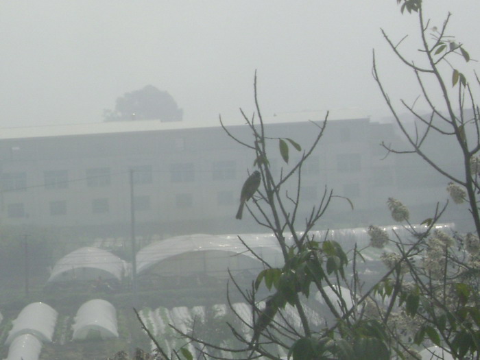DSC01793.JPG