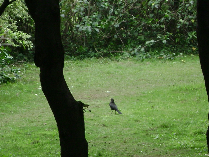 DSC01992.jpg