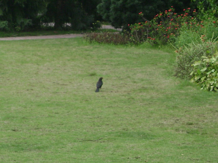 DSC01996.jpg