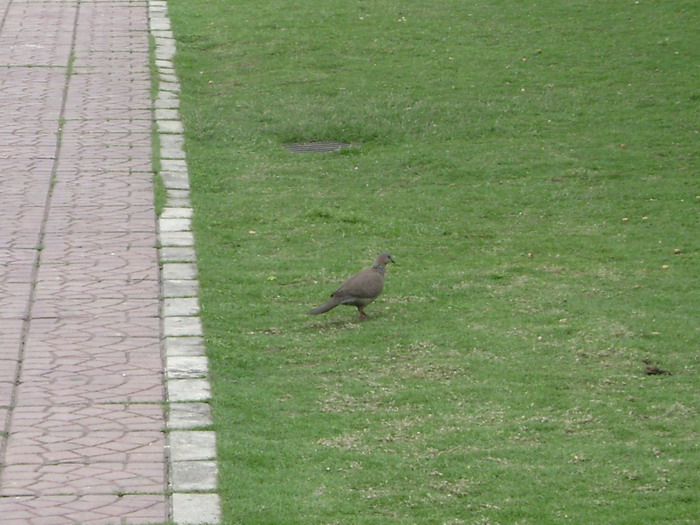 DSC01963.jpg