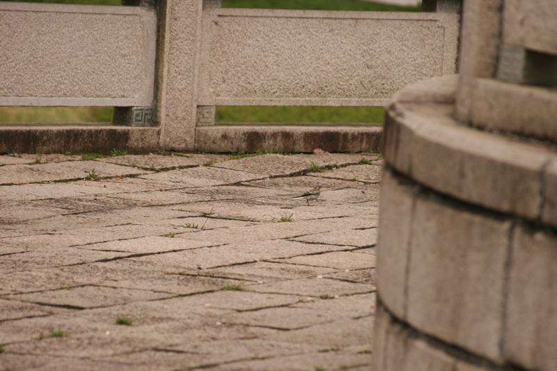 b4165.JPG