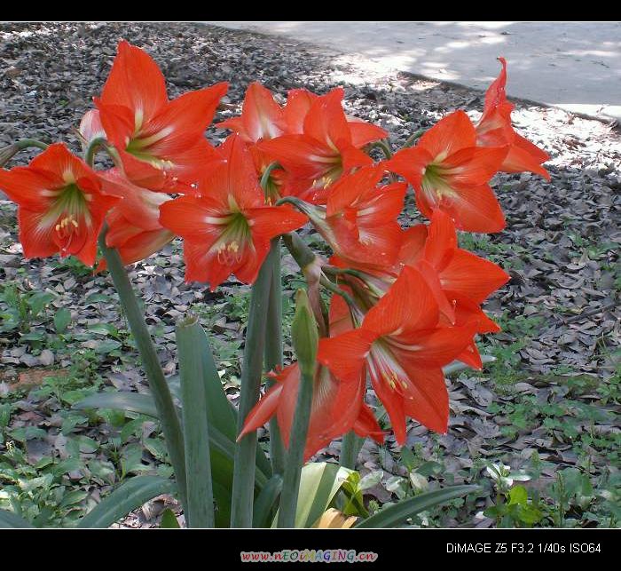PICT1014.JPG