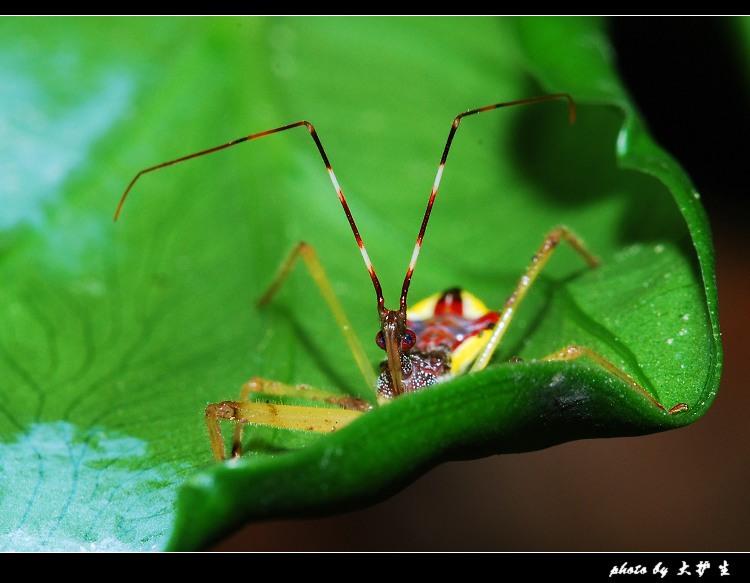 DSC_0058a.jpg