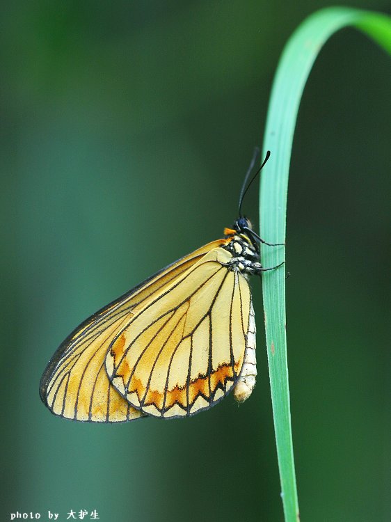 DSC_1568a.jpg