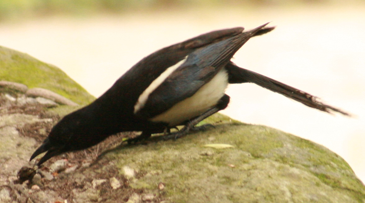 a5301.JPG