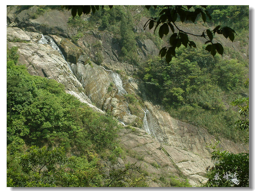 DSCF0136.jpg
