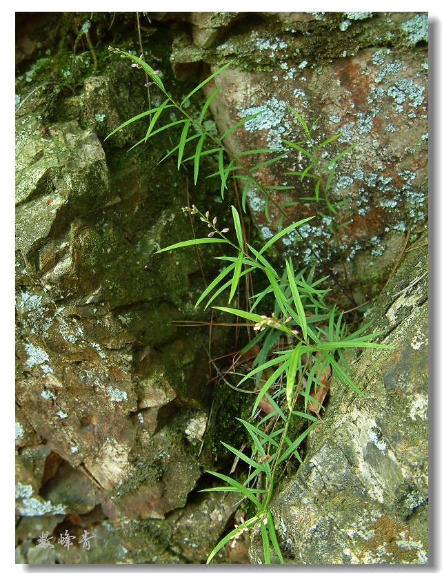 DSCF0119.jpg