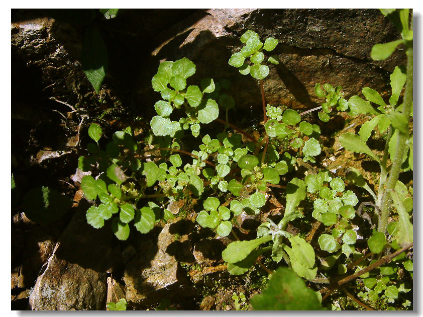 DSCF0159.jpg