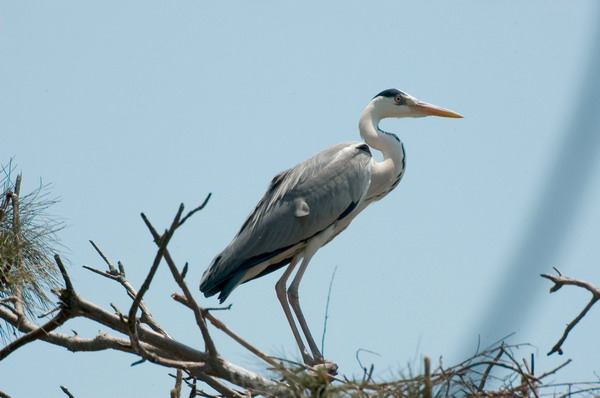 DSC_2201_С.jpg