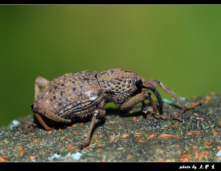 DSC_0206a.jpg