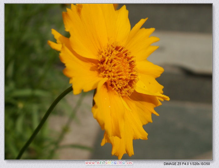 PICT1145.JPG