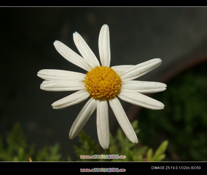 PICT1154.JPG