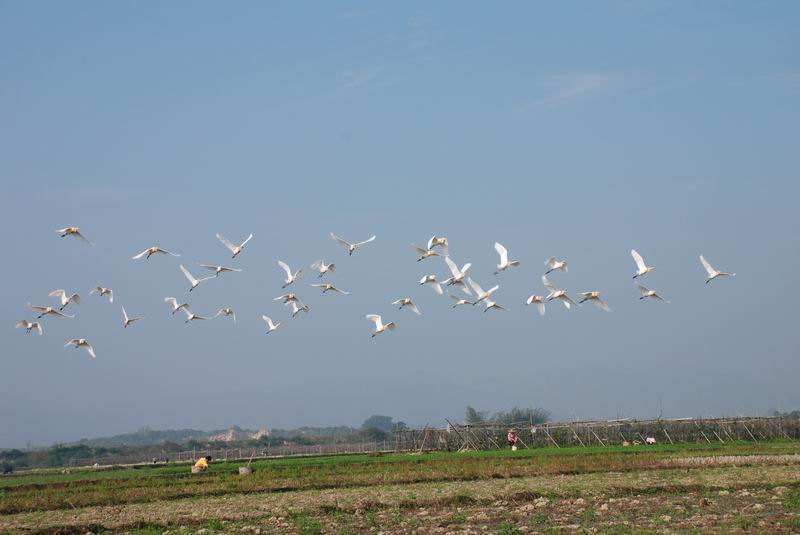 DSC_0118.JPG