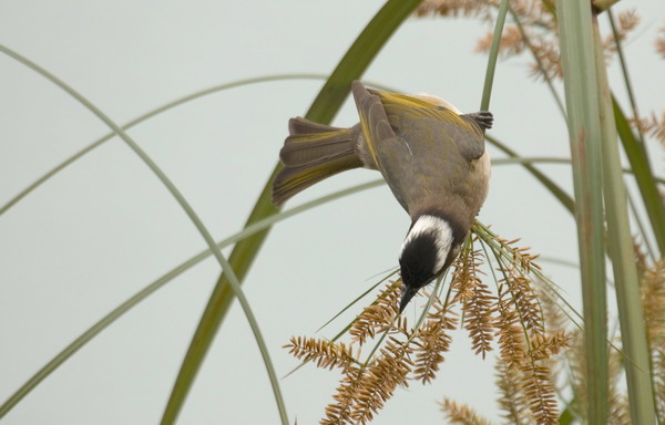 DSC_2787_С.jpg