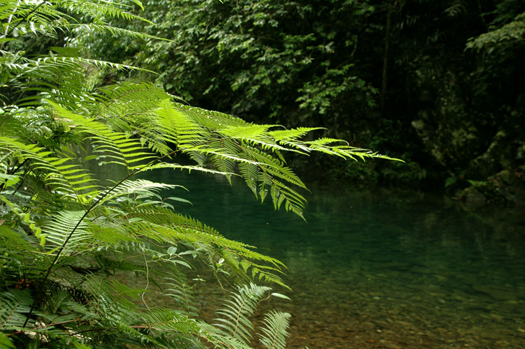 DSC_2913ˮ.jpg