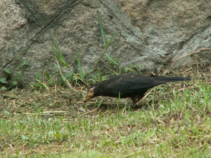 PICT1568.JPG