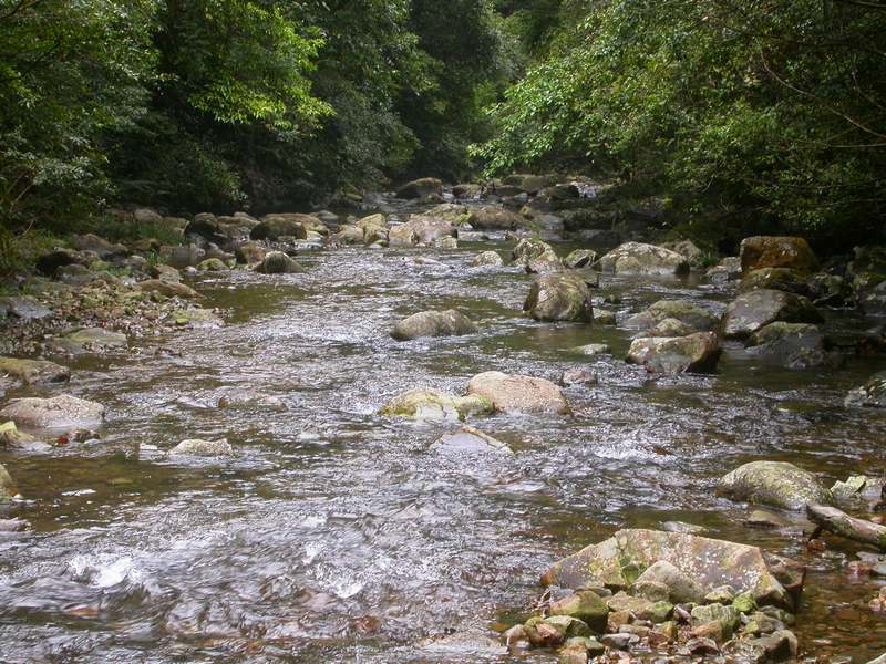 ˮ1.jpg