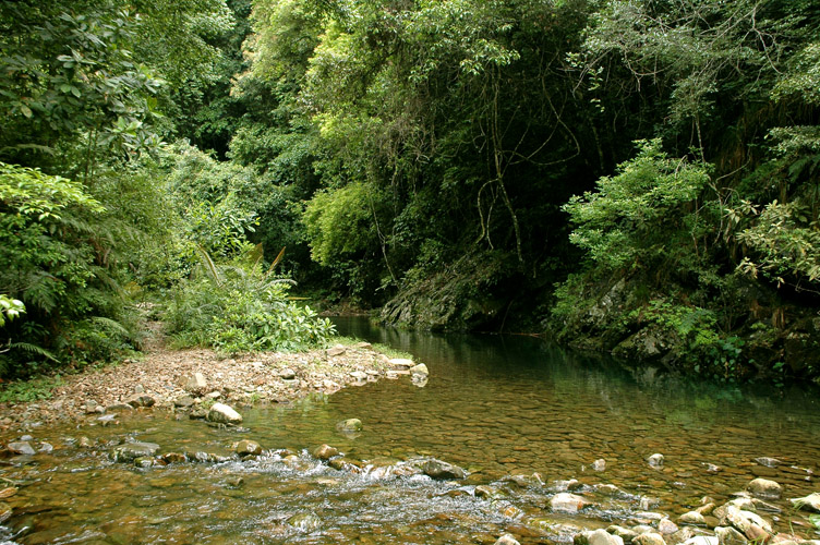 DSC_2909.jpg