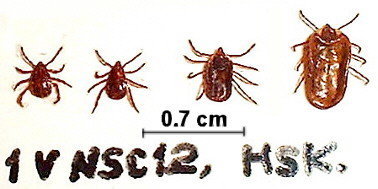 ӲĈDƬ1.jpg