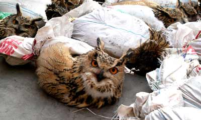 Image3.jpg