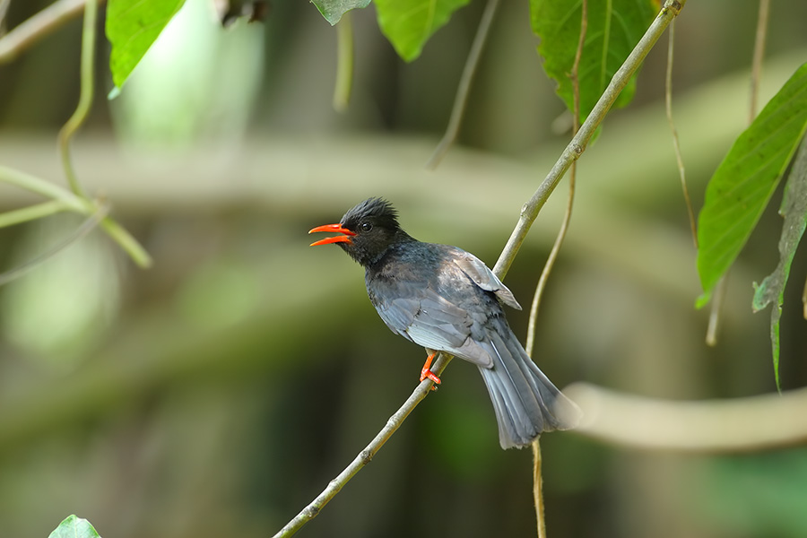 tlIMG_1290.jpg