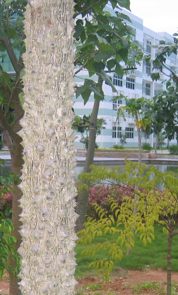 ľ޵
