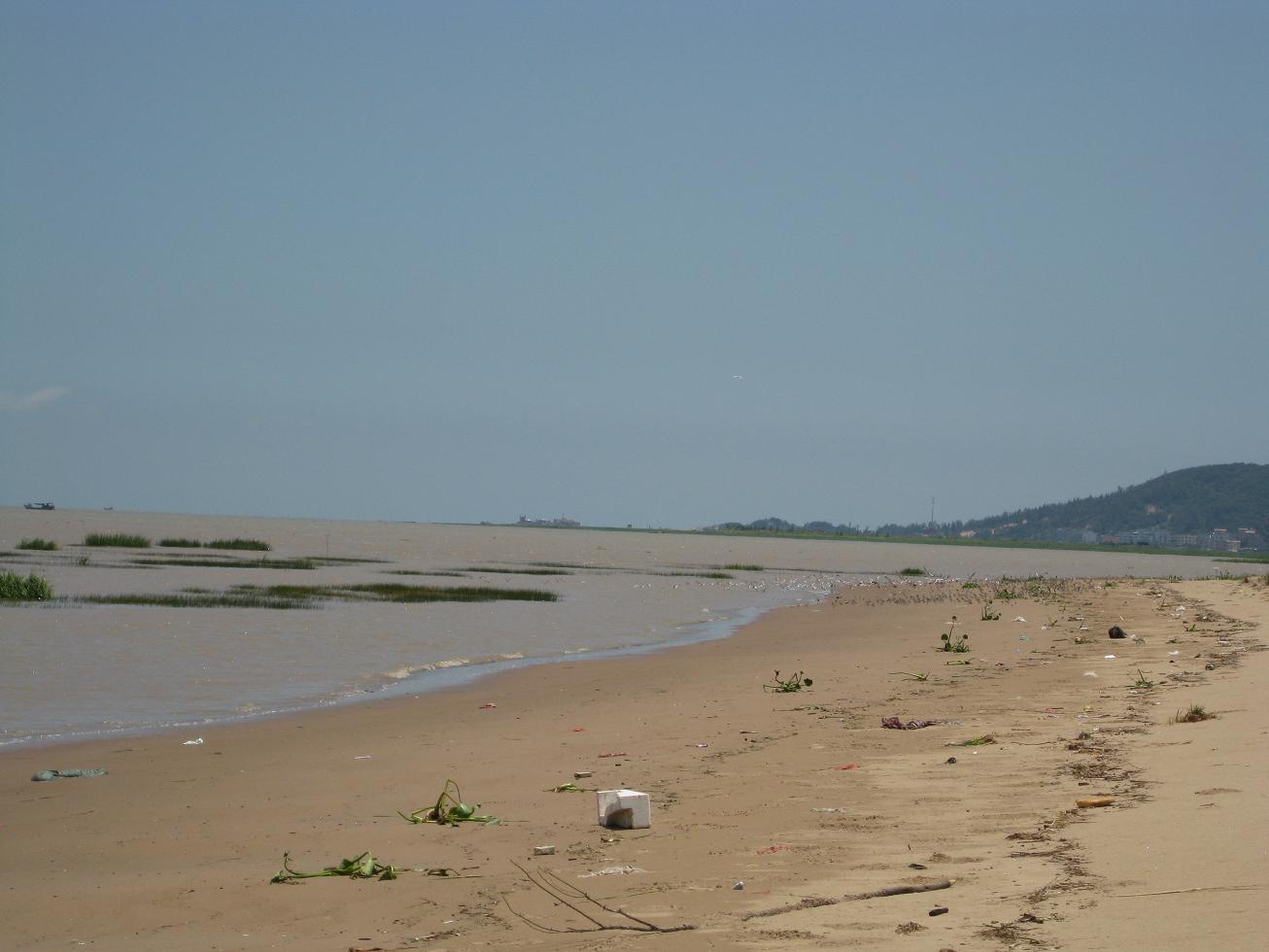 0802Ư2.JPG