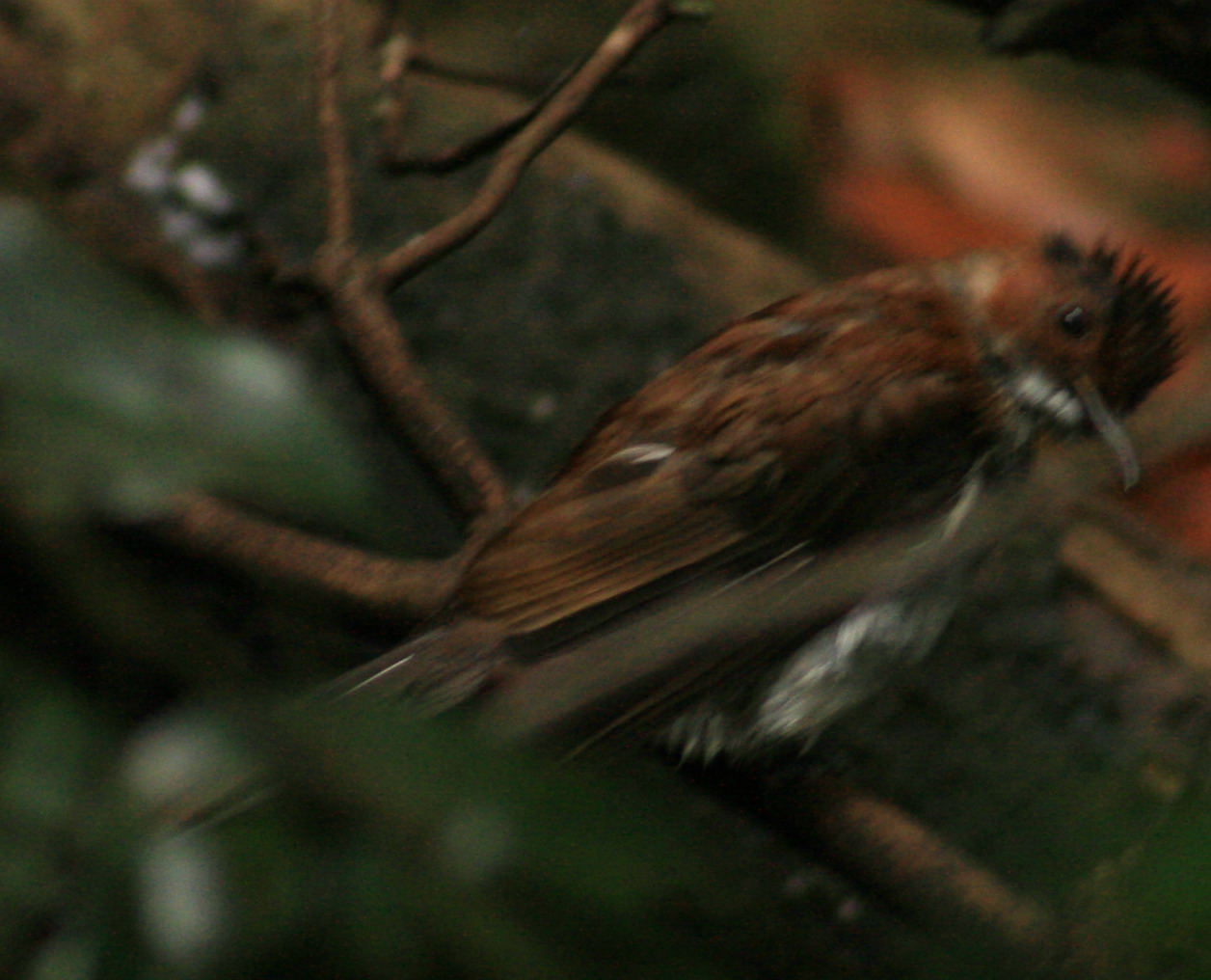 b3380.JPG