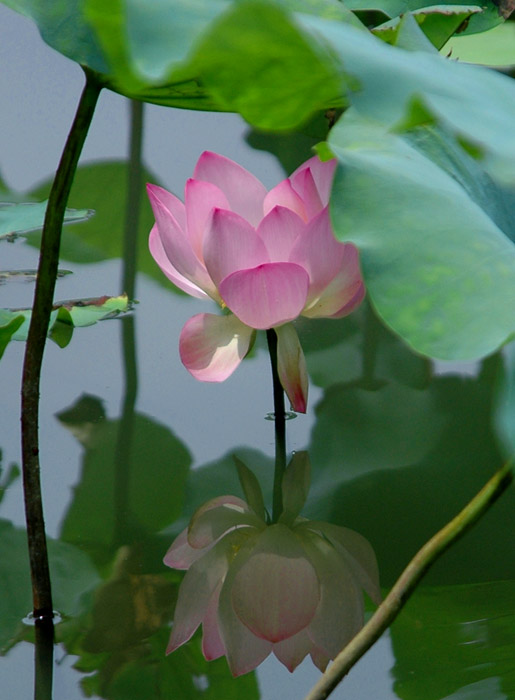 DSC_3682Ӱ.jpg