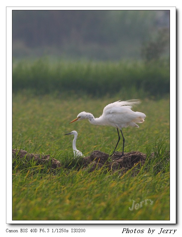 IMG_8177.jpg