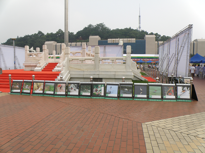 P9200143.jpg