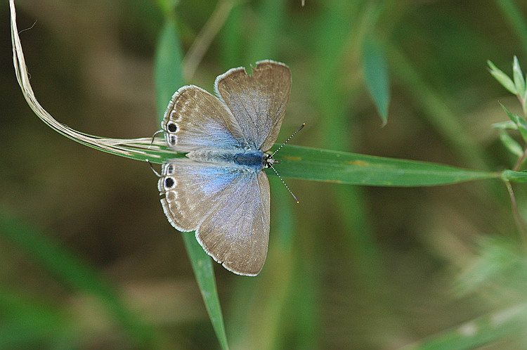 DSC_0118.jpg