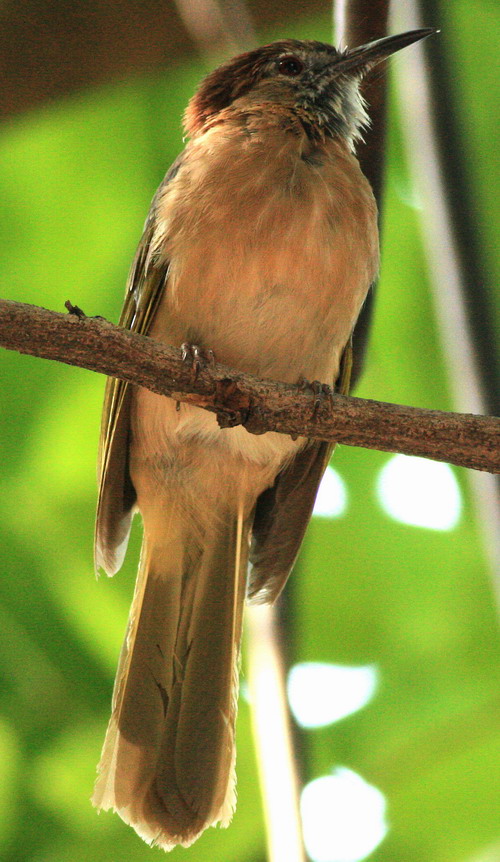 b5995d.JPG