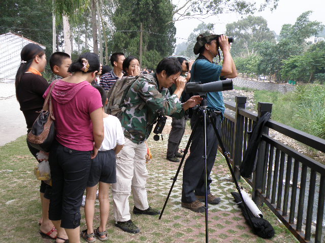PA110395.JPG