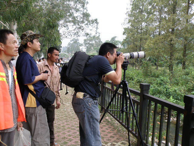 PA110393.JPG