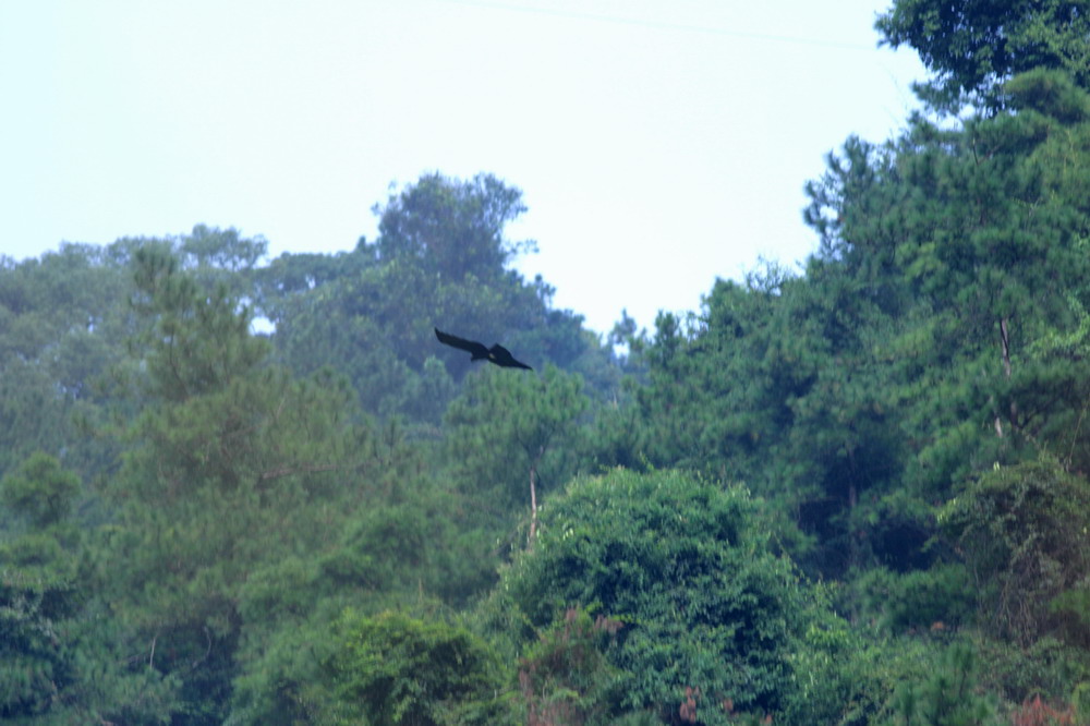 b8420.jpg