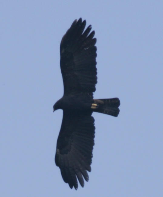 b8410c.jpg