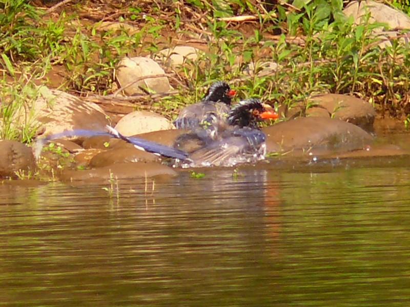 ѹ_P1080353.JPG